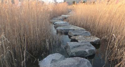 Stepping stones - the 10 point plan